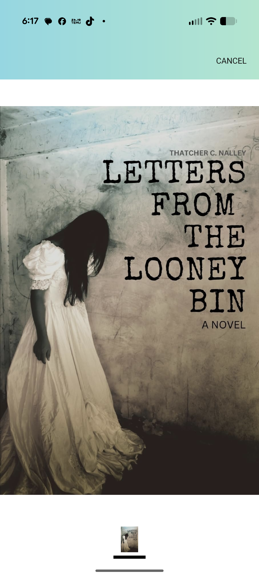 Boo Book Mystery Boxes